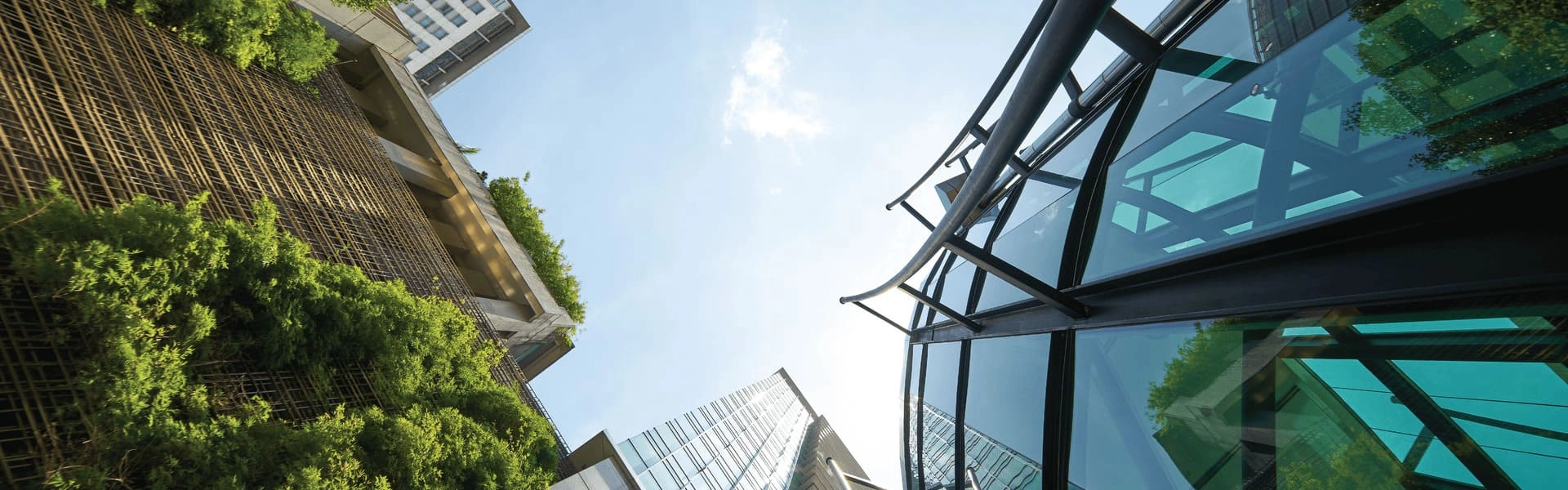 Banner Phát triển bền vững